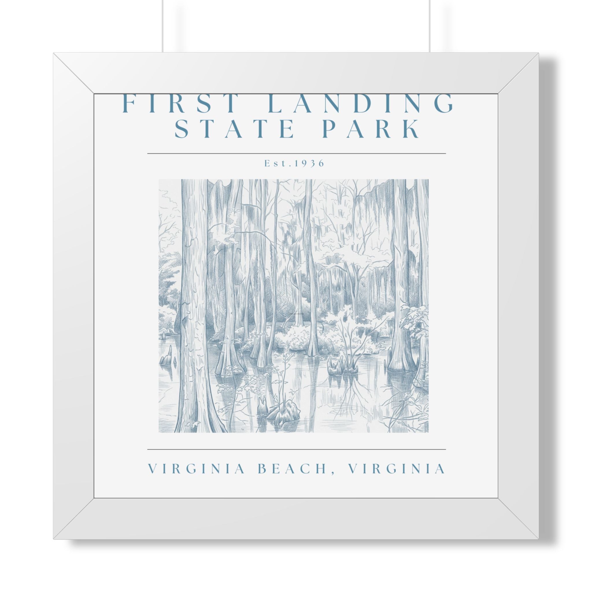 First Landing State Park Cypress Swamp Framed Art