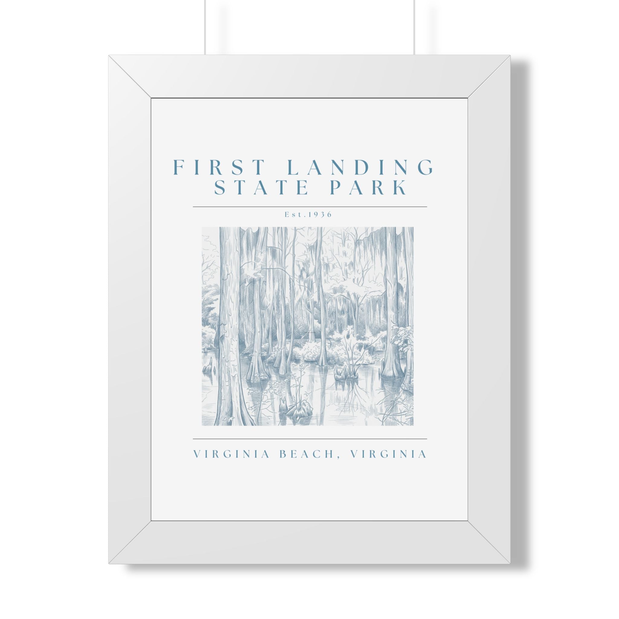 First Landing State Park Cypress Swamp Framed Art