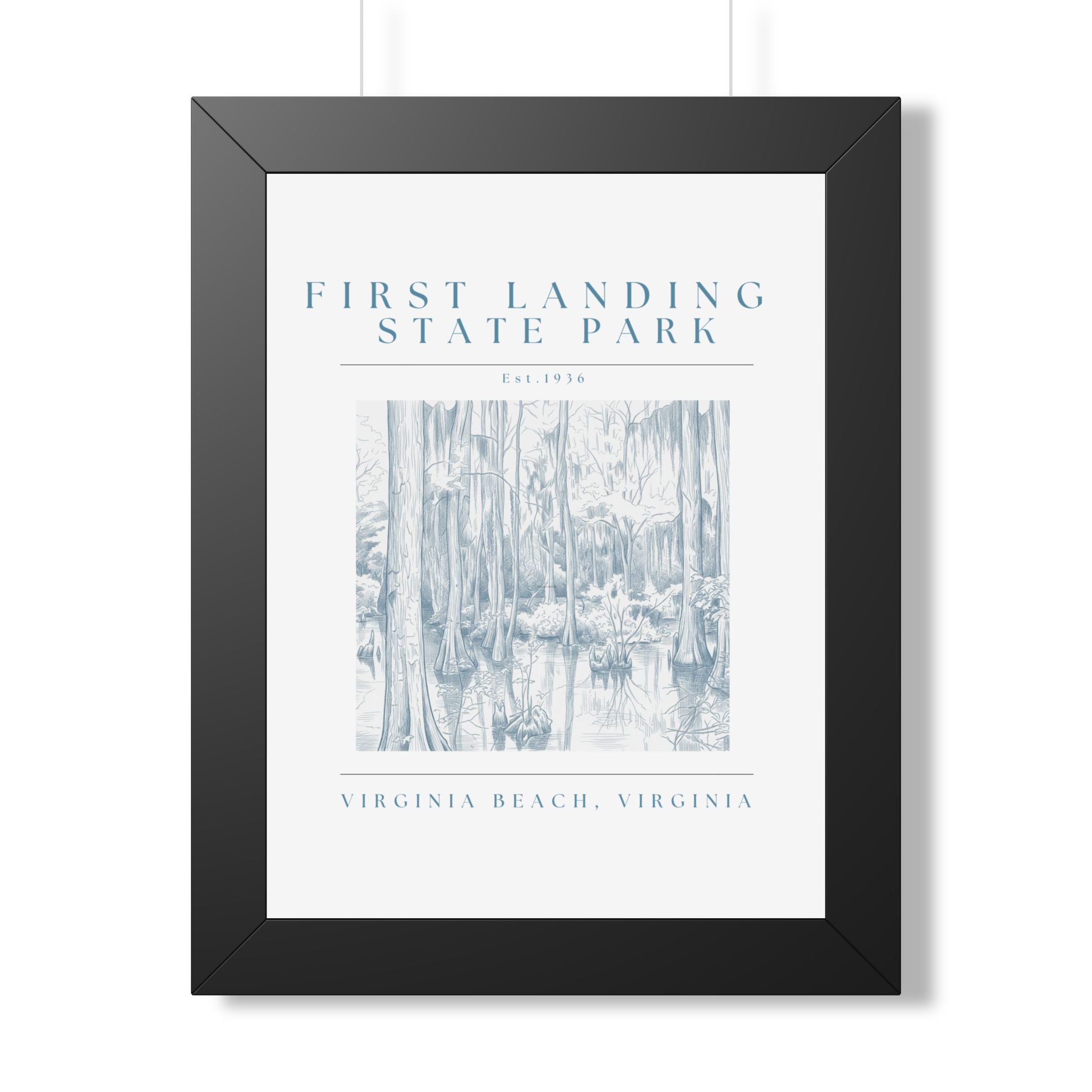 First Landing State Park Cypress Swamp Framed Art