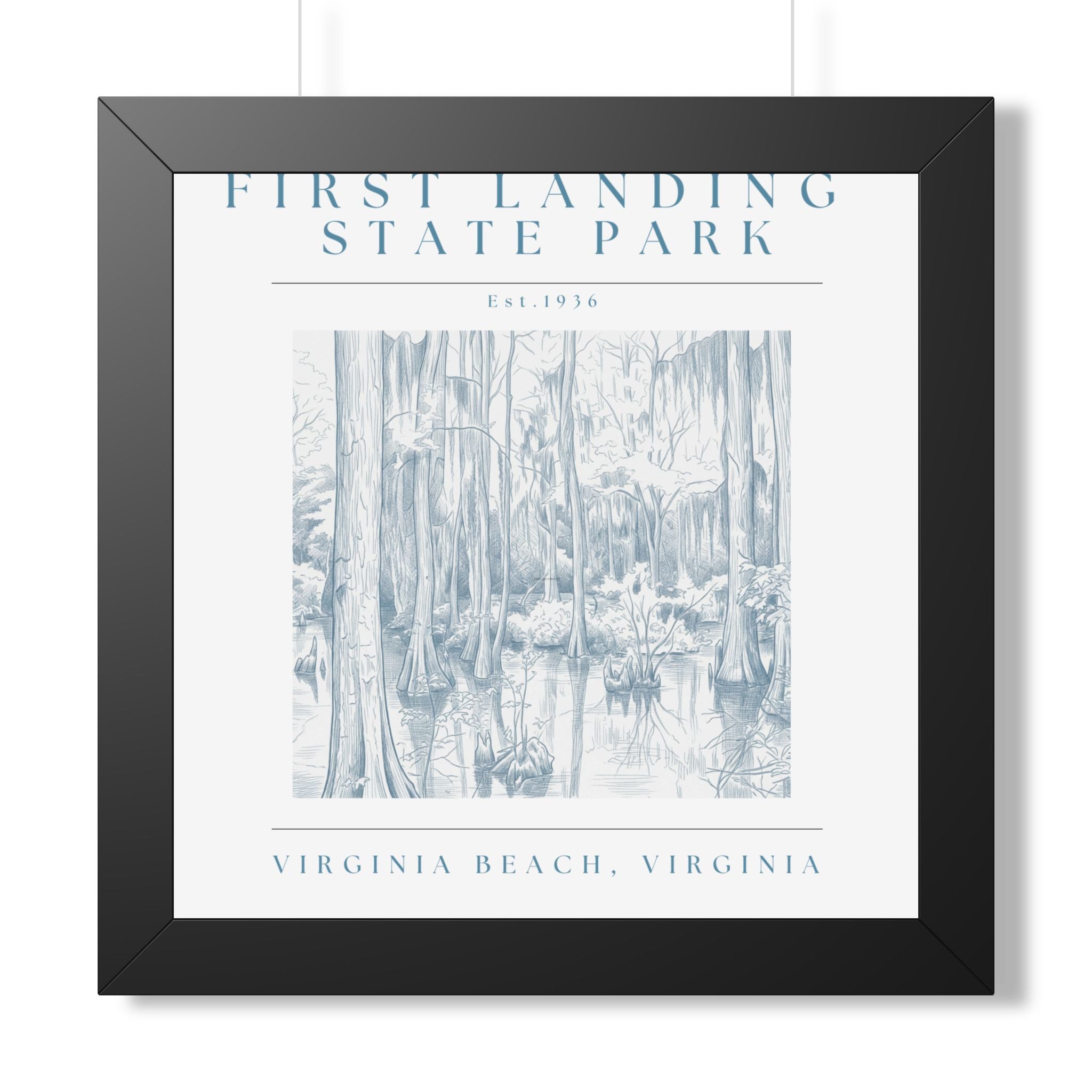 First Landing State Park Cypress Swamp Framed Art
